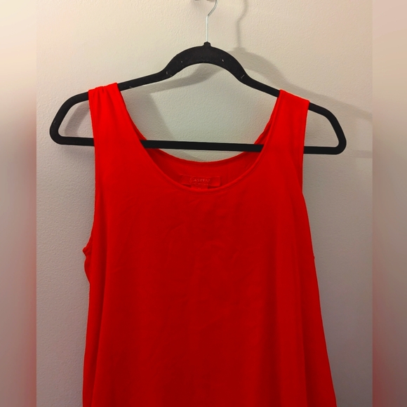 NWOT Catherine Malandrino Red Sheer Dress with Rayon Lining Size Medium - Picture 3 of 8